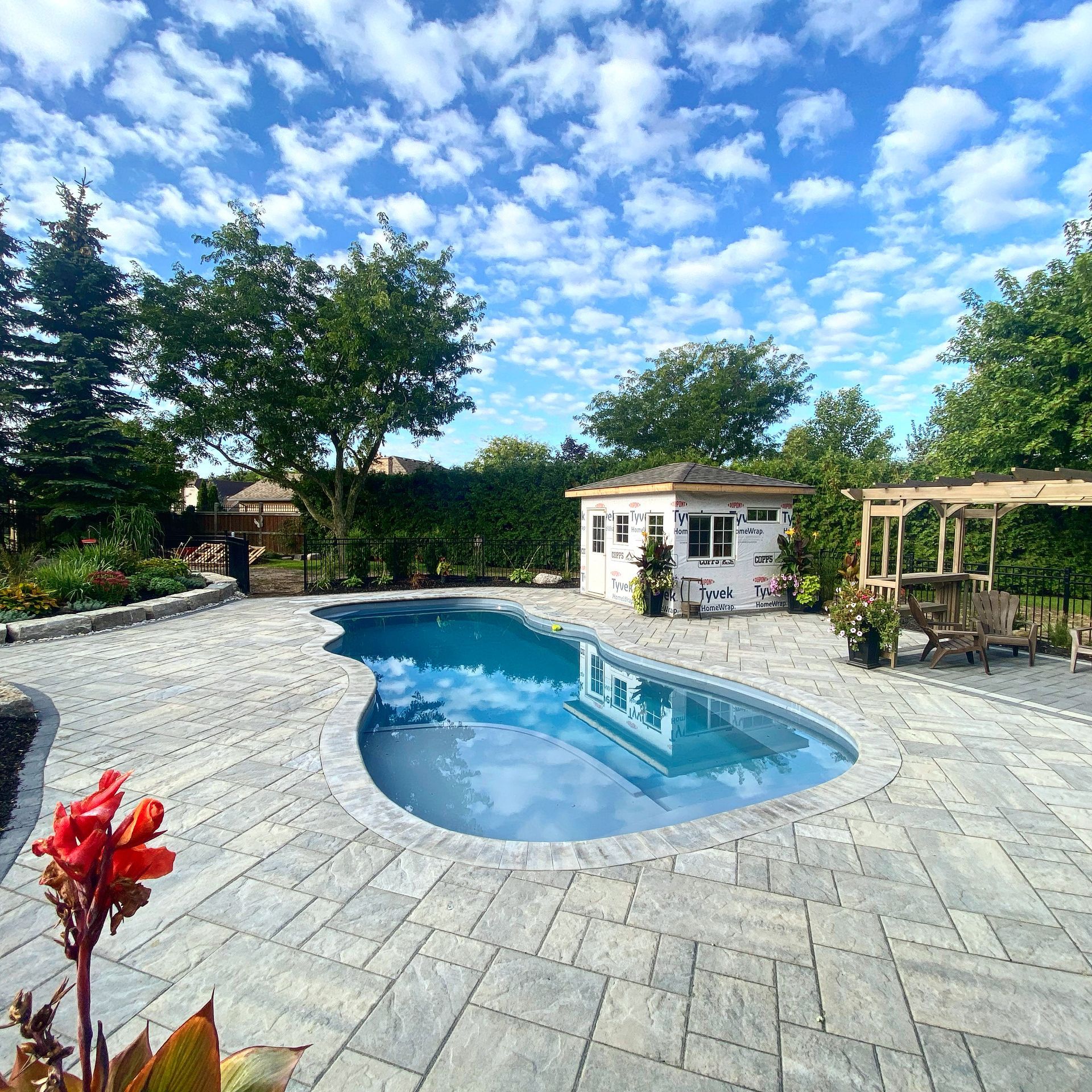 Full backyard landscape design — freeform pool, paver patio and pergola